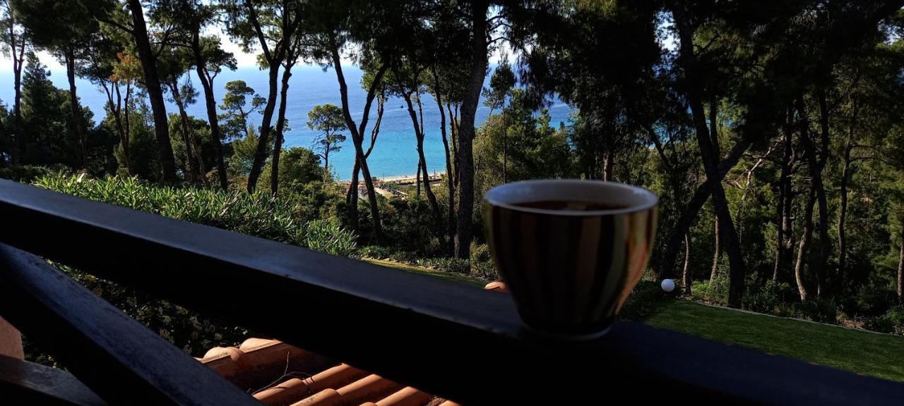 Minthi Villa Possidi Bagian luar foto