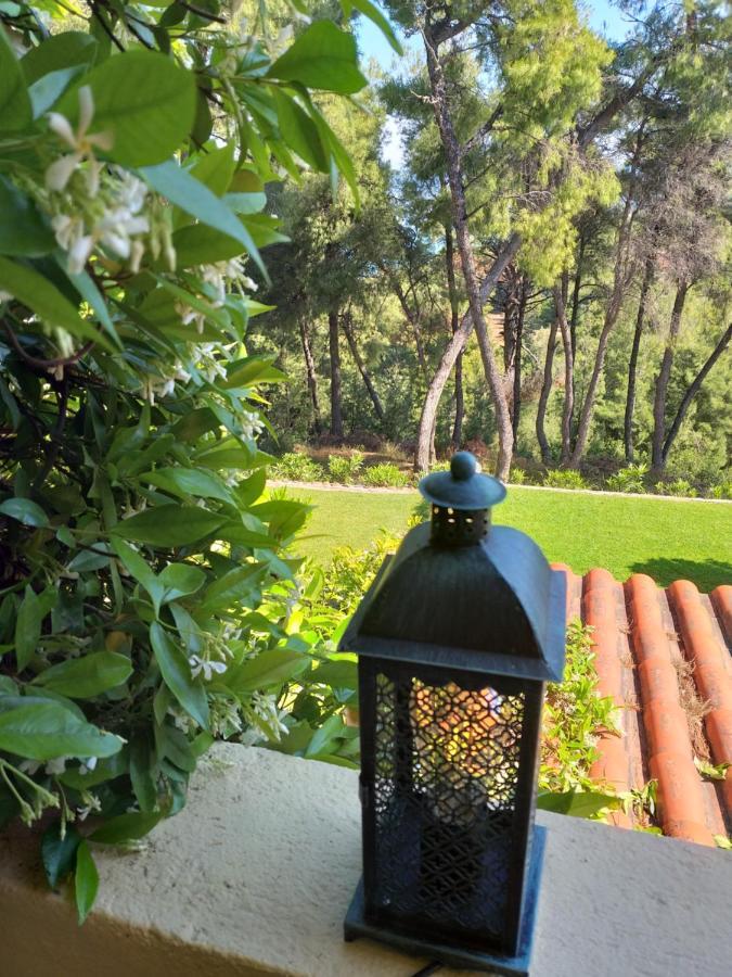 Minthi Villa Possidi Bagian luar foto